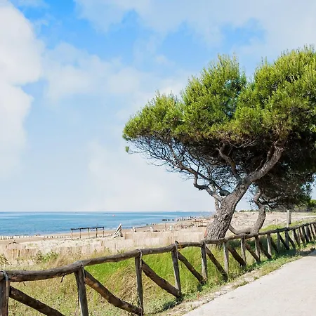 Apartment 150m From The Sea